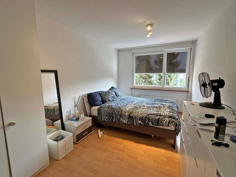 3 ½-Zimmerwohnung mit neuwertiger Küche (4)