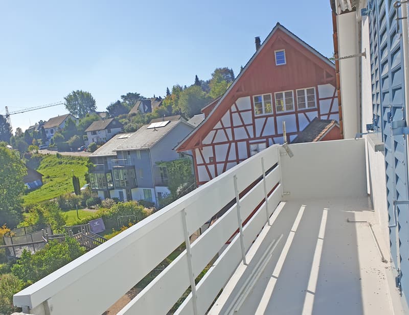 Ruhige 4.5-Zimmerwohnung am Fuss von Regensberg (10)