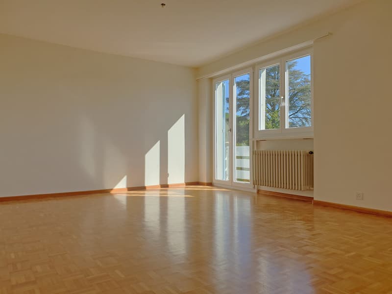 Ruhige 4.5-Zimmerwohnung am Fuss von Regensberg (3)