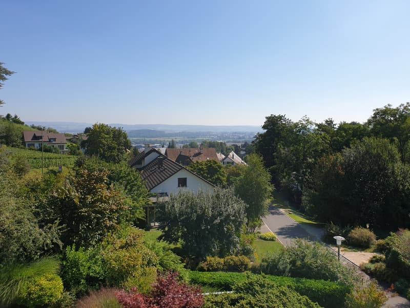 Ruhige 4.5-Zimmerwohnung am Fuss von Regensberg (11)