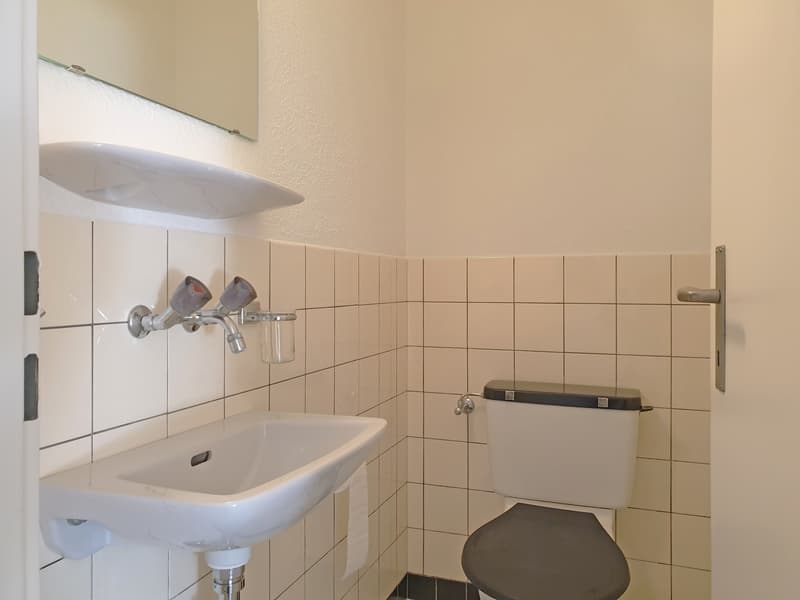Ruhige 4.5-Zimmerwohnung am Fuss von Regensberg (9)