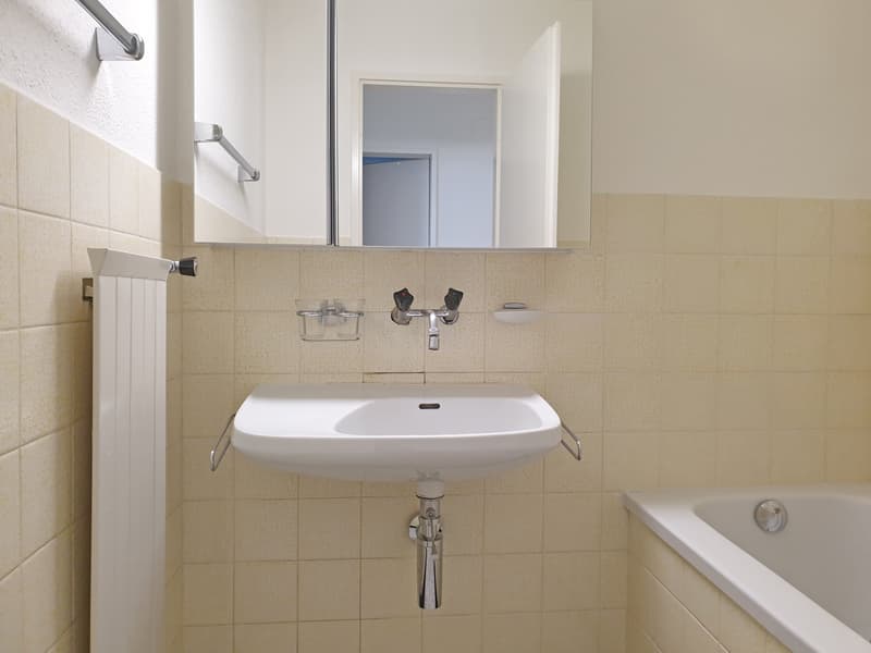 Ruhige 4.5-Zimmerwohnung am Fuss von Regensberg (8)
