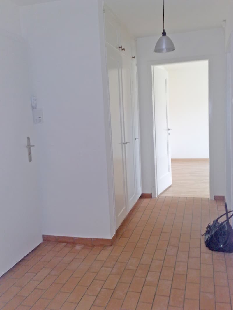 Schöne 2-Zimmerwohnung an idealer Lage in Wallisellen (4)
