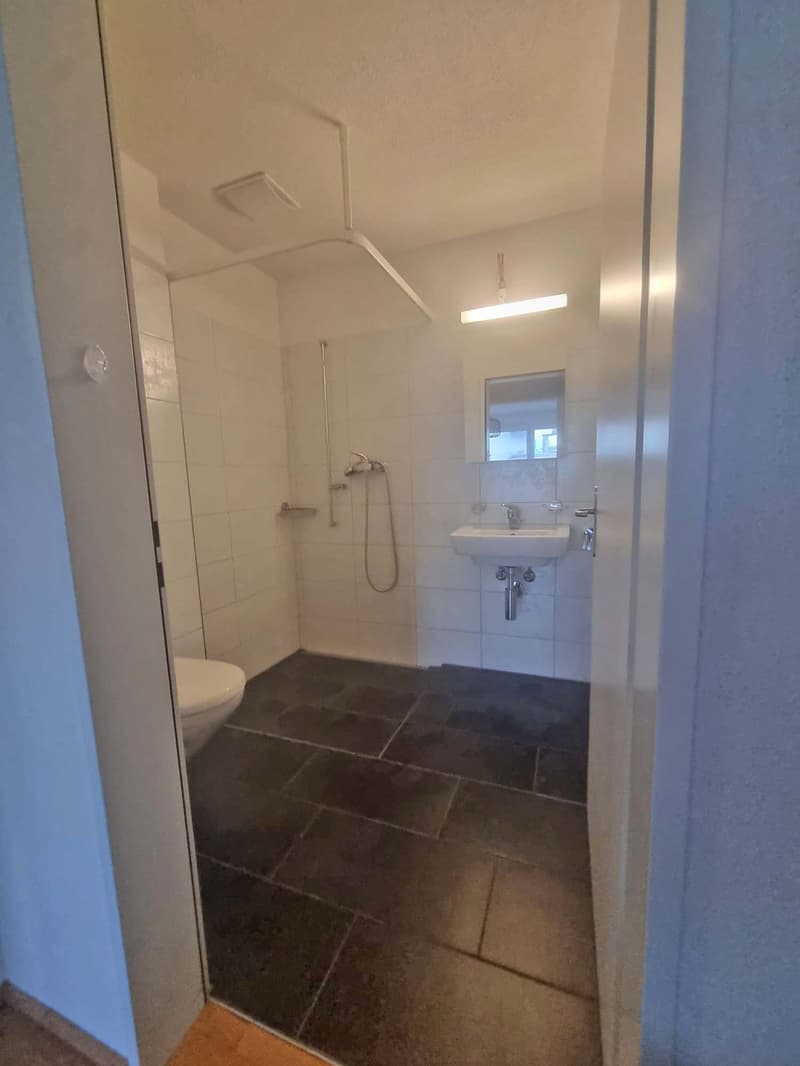 Attraktive 3 ½-Zimmerwohnung im Eigentumsstandard (7)