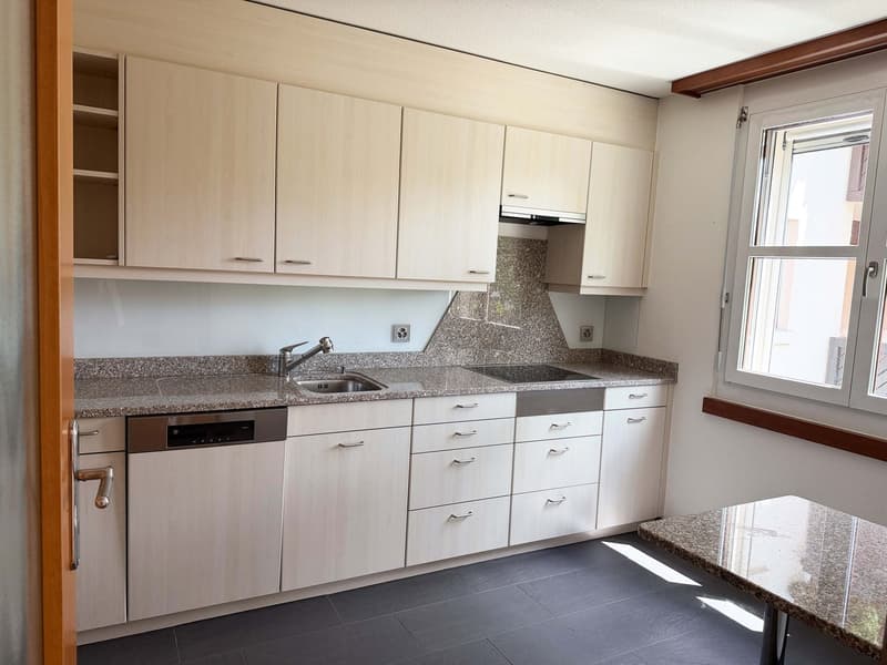 Family apartment with fireplace & two balconies (5)