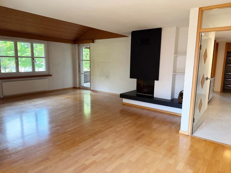 Family apartment with fireplace & two balconies (2)