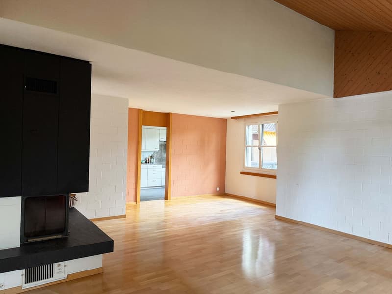 Family apartment with fireplace & two balconies (3)