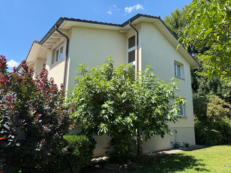 Paradiso abitativo con giardino invernale e garage doppio (12)