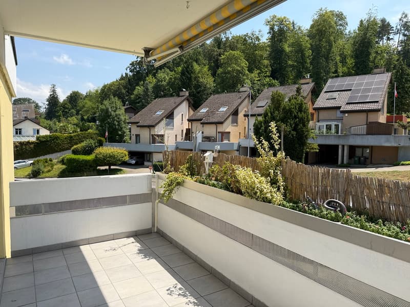 Helle Wohnung mit Cheminée (8)