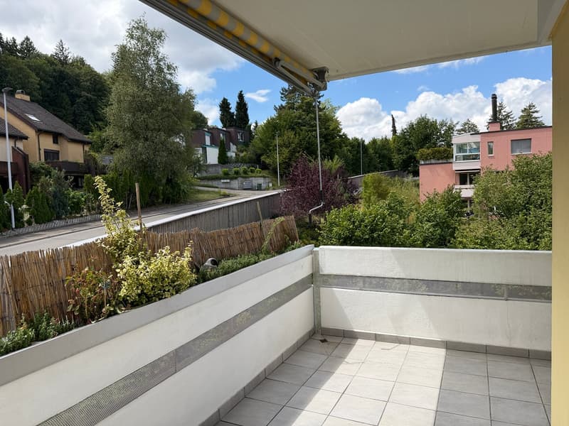 Helle Wohnung mit sonnigem Balkon und Cheminée (9)
