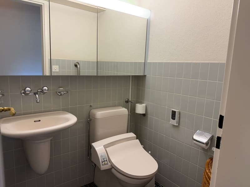 Ihr neues Zuhause mit sonnigem Balkon und Cheminée (5)