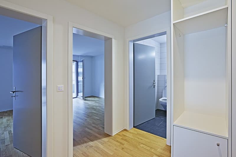 Appartement lumineux 3.5 pièces à Glis (3)