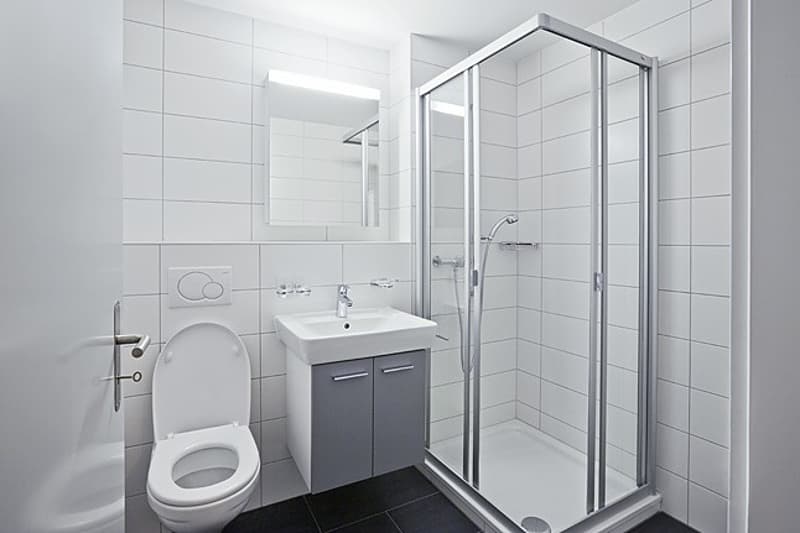 Appartement lumineux 3.5 pièces à Glis (5)