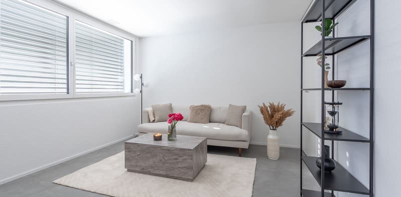 2.5 Room New Apartment for Rent in Visp (3)