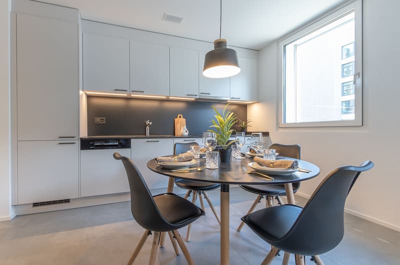 2.5 Room New Apartment for Rent in Visp (2)