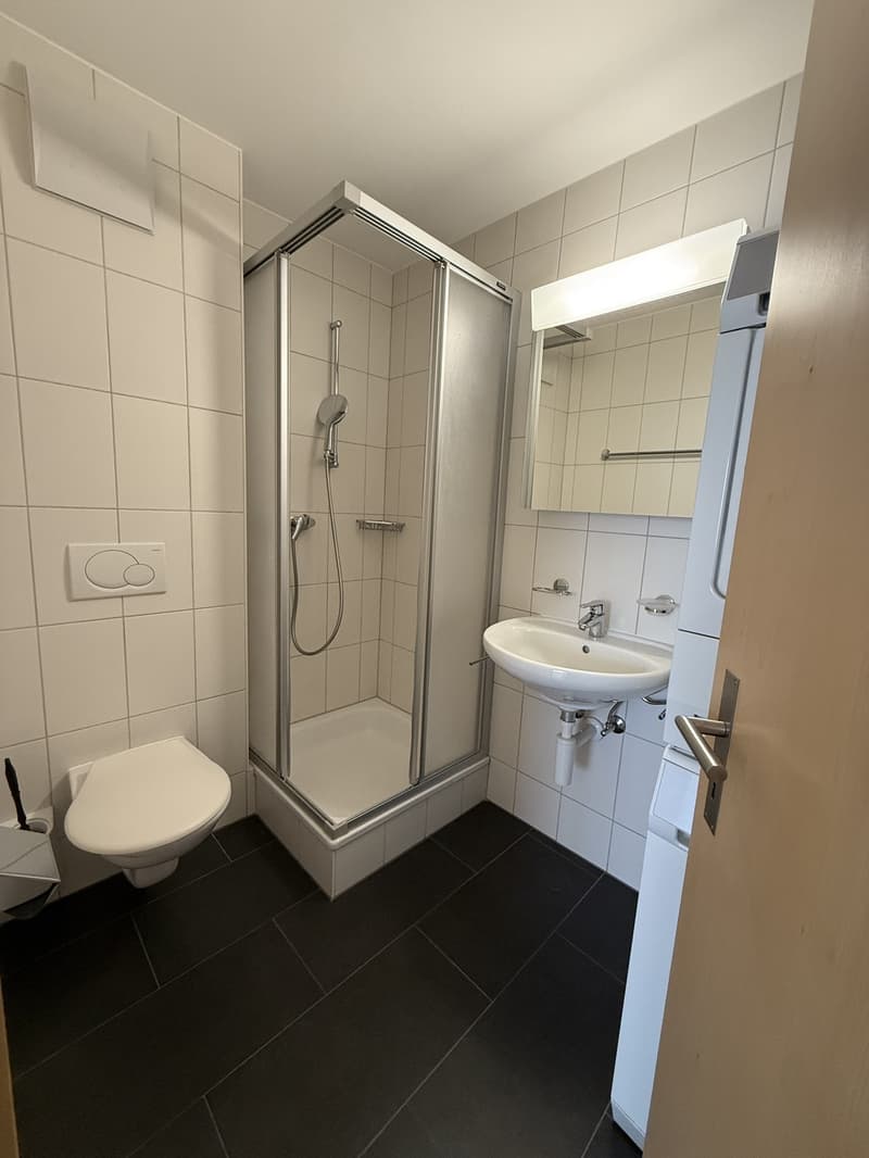 Helle 3.5 Zimmerwohnung in Naters (6)