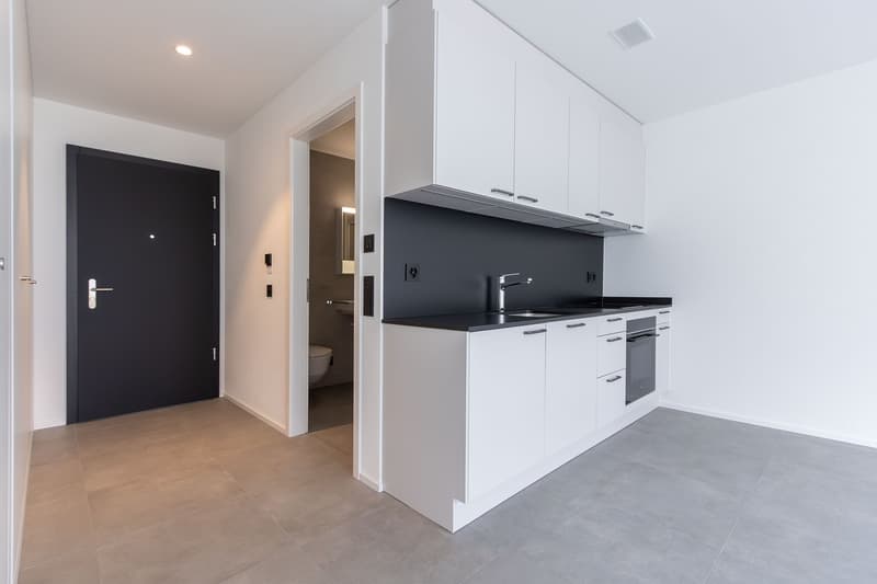 1 ½ Zimmer-Neubauwohnung in Visp mieten (3)