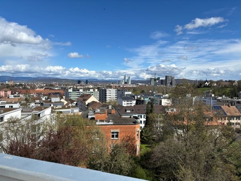Appartement 3.5 pièces dans un quartier calme à Binningen (1)