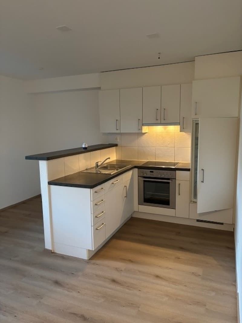 Bel appartement 2.5 pièces avec balcon à Allschwil (1)