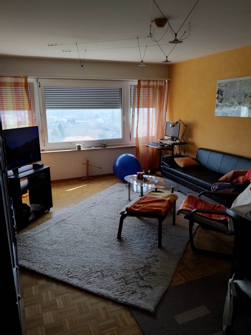 large living room with couch, coffee table, TV, rug, windows, desk, computer, lamp, blue ball