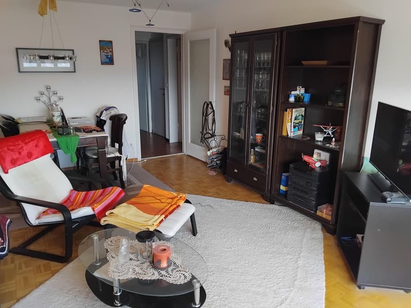 Living room with a white rug, a glass table, a chair with a red and white pillow, a TV, a cabinet, a shelf, a desk, and a dining table with chairs.