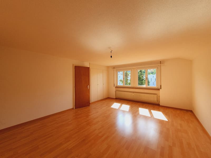 Cozy 1-bedroom apartment in Belp (2)
