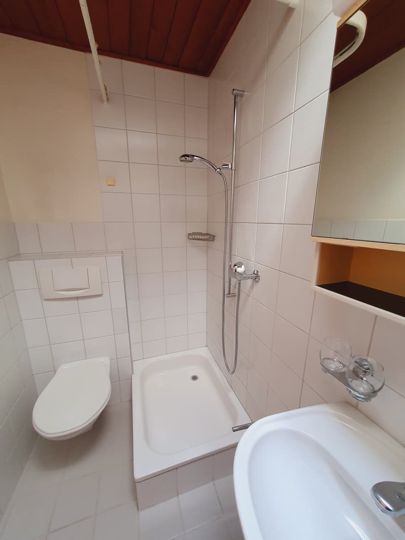 Cozy 1-bedroom apartment in Belp (6)