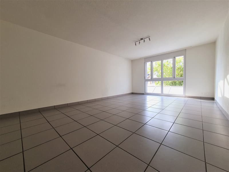 Appartement spacieux sur 2 étages avec jardin privé (6)
