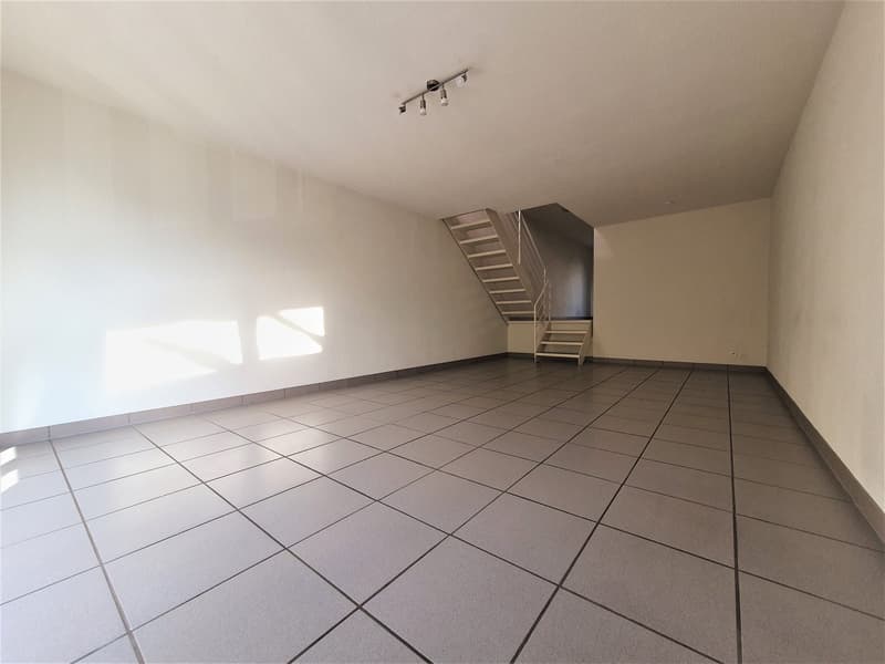 Appartement spacieux sur 2 étages avec jardin privé (7)