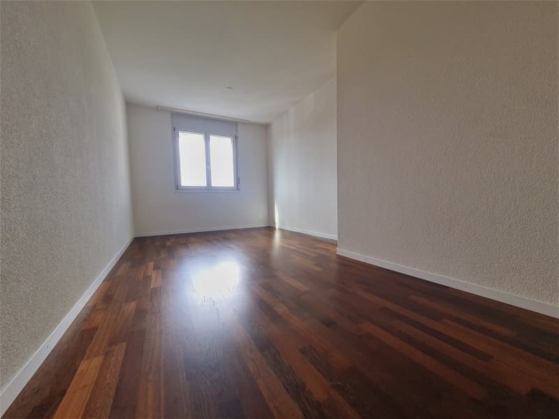 Appartement spacieux sur 2 étages avec jardin privé (8)