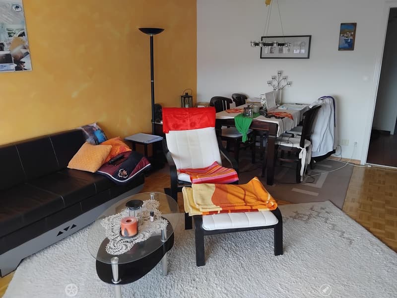 Charmante 2-Zimmer-Wohnung mit Balkon und Bergblick in Biel (4)