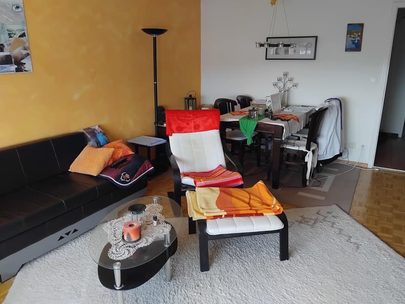 Charming 2-room apartment with balcony and mountain view in Biel (4)