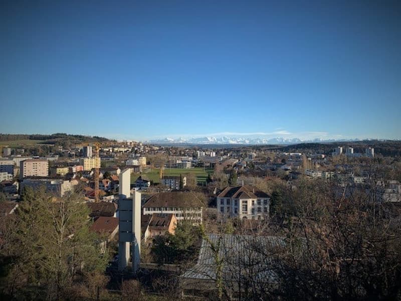 Charming 2-room apartment with balcony and mountain view in Biel (2)