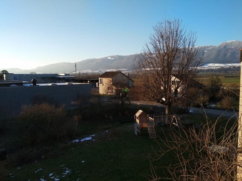 open garden with grass, wooden swing set, playground, distant houses, mountains in background