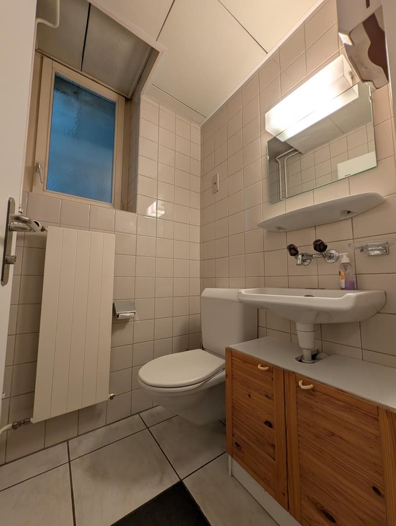 Immeuble commercial attractif au centre de Lyss (11)
