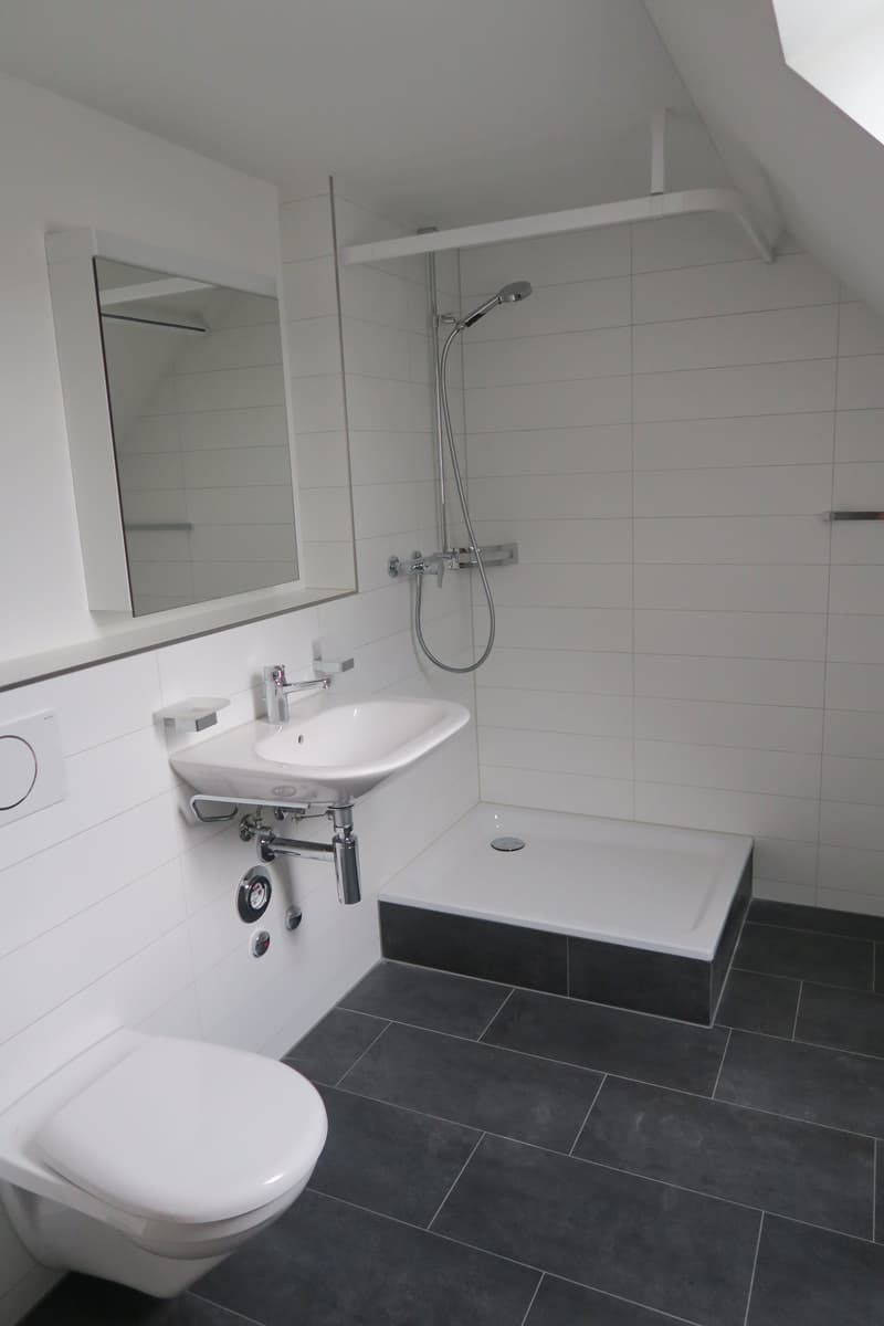 Attraktive 2.5-Zimmer-Dachwohnung mit eigener Dachterrasse (8)