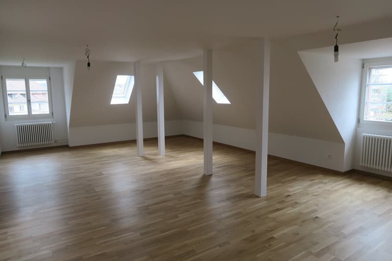 Attraktive 2.5-Zimmer-Dachwohnung mit eigener Dachterrasse (4)