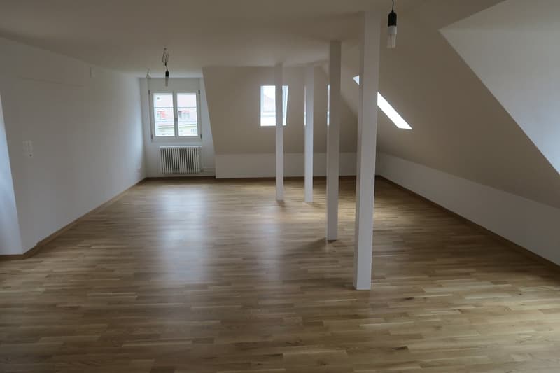 Attraktive 2.5-Zimmer-Dachwohnung mit eigener Dachterrasse (3)