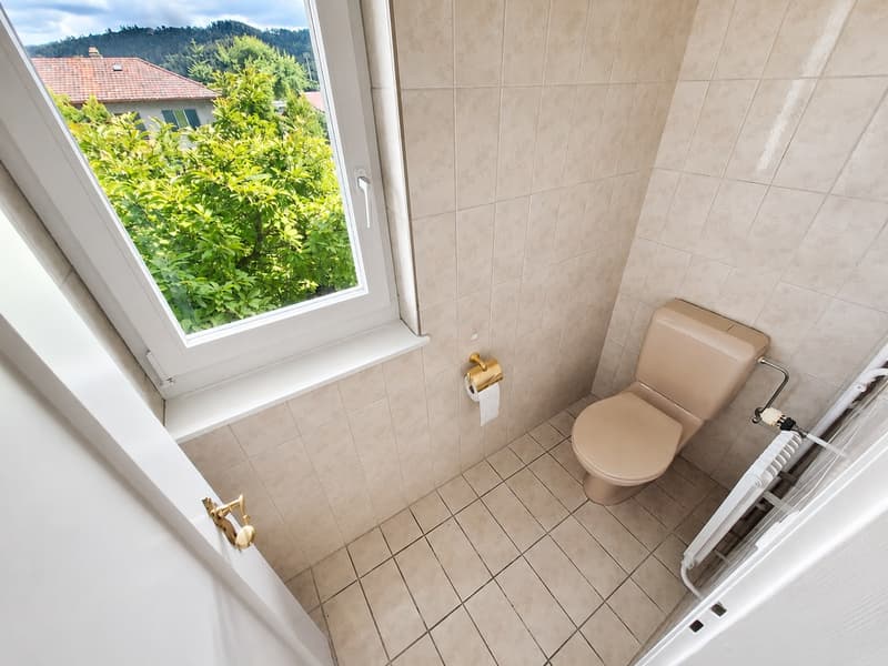 Perle unique : charmante maison familiale de 6,5 pièces (20)
