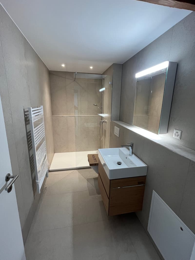 Nouvel appartement de 4 pièces en mansarde dans la ville d'Olten (3)
