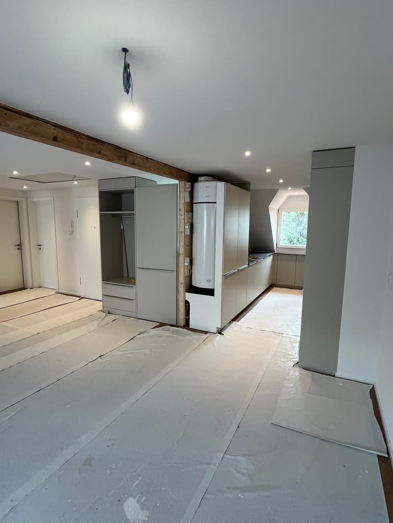 Nouvel appartement de 4 pièces en mansarde dans la ville d'Olten (5)