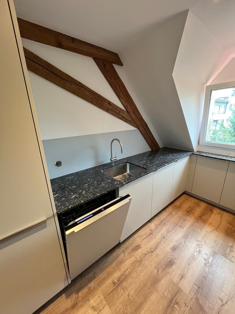 Nuovo appartamento di 4 locali in mansarda nella città di Olten (3)