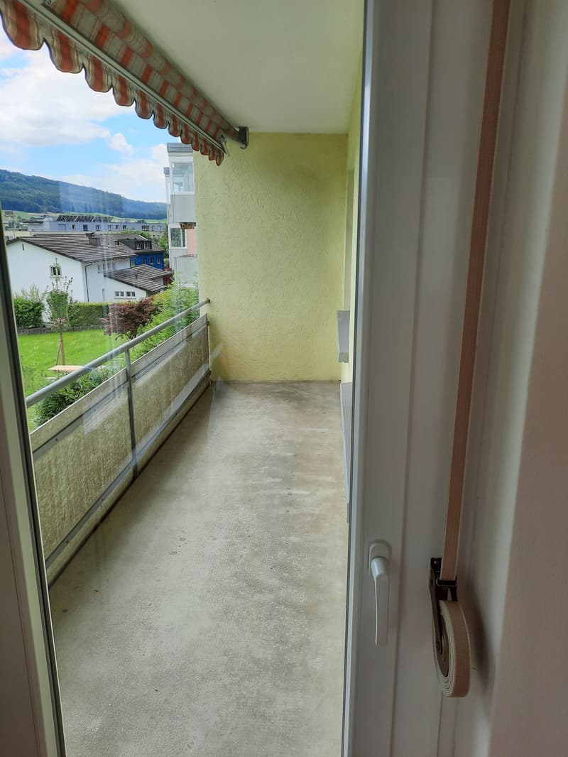 Appartamento 3,5 locali a Olten (8)