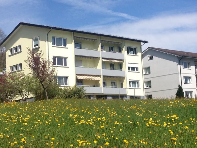Appartamento 3,5 locali a Olten (1)