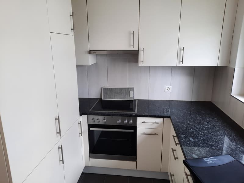 Appartamento 3,5 locali a Olten (3)