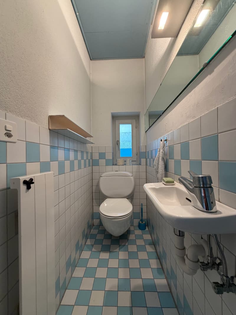 Living in the Green: Charming 5.5-Room Single-Family House with Garden (6)