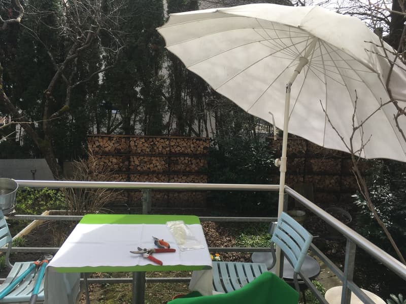 Living in the Green: Charming 5.5-Room Single-Family House with Garden (6)