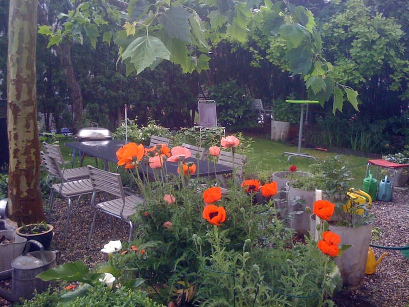 Living in the Green: Charming 5.5-Room Single-Family House with Garden (16)