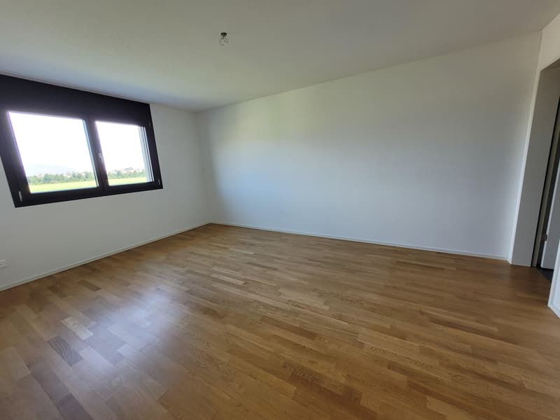 Die Siedlung des Wohlbefindens (3)