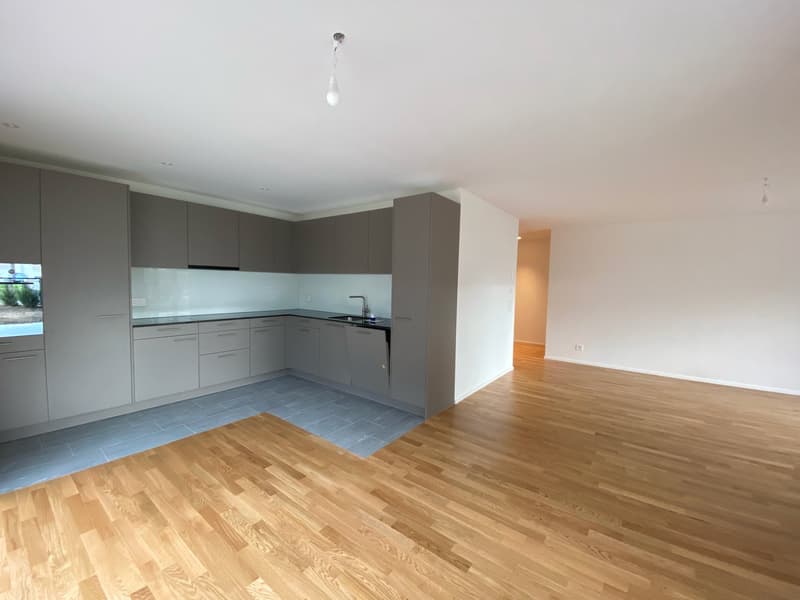 Habitation Moderne - Appartement 2,5 Pièces (2)